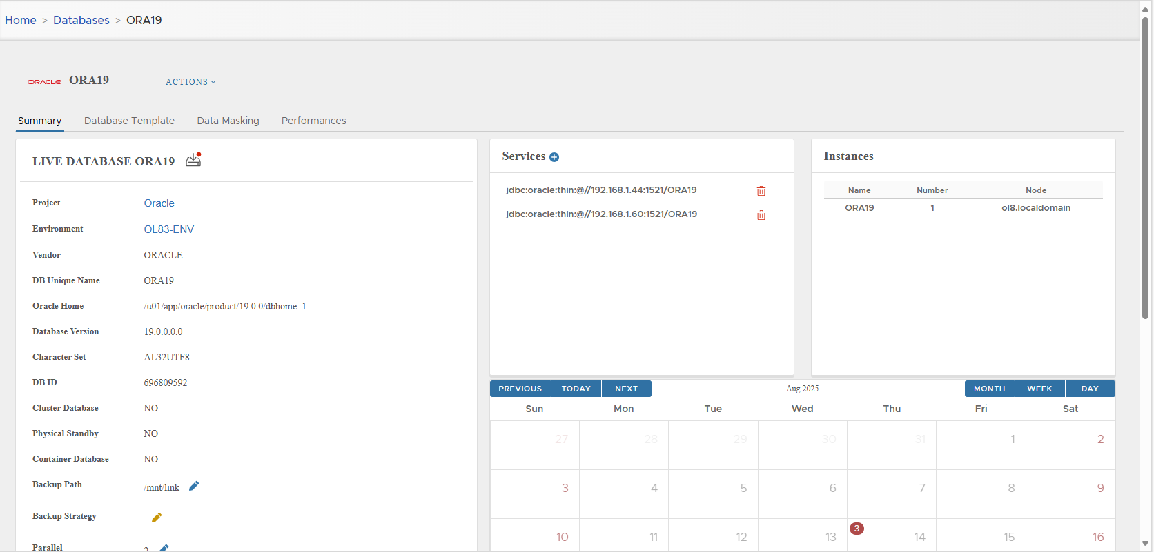 Oracle database detail