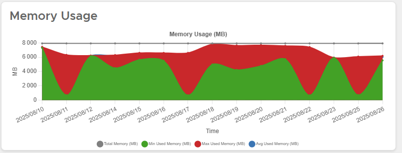 Memory Usage